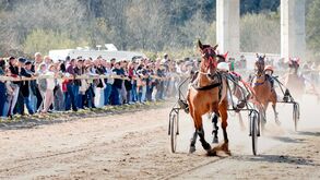 Ponte da Barca acolhe 2º Jornada do Campeonato Nacional de Trote e Galope