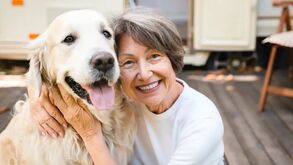 Procura um melhor amigo? Estas são as 5 raças de cães mais amigáveis do mundo