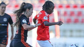 Liga BPI: os melhores momentos do Benfica-Racing Power, 4-1