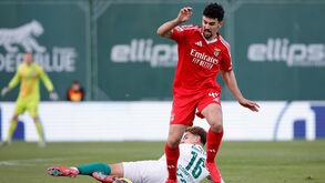 Tomás Araújo preso por arames