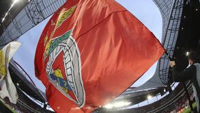 MAG do Benfica informa quantos sócios poderão votar nas eleições de amanhã