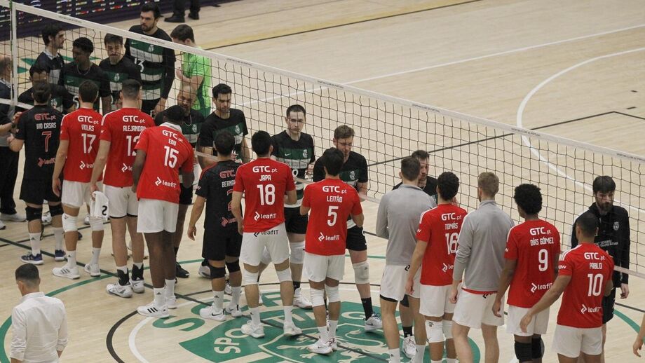 Águias e leões favoritos