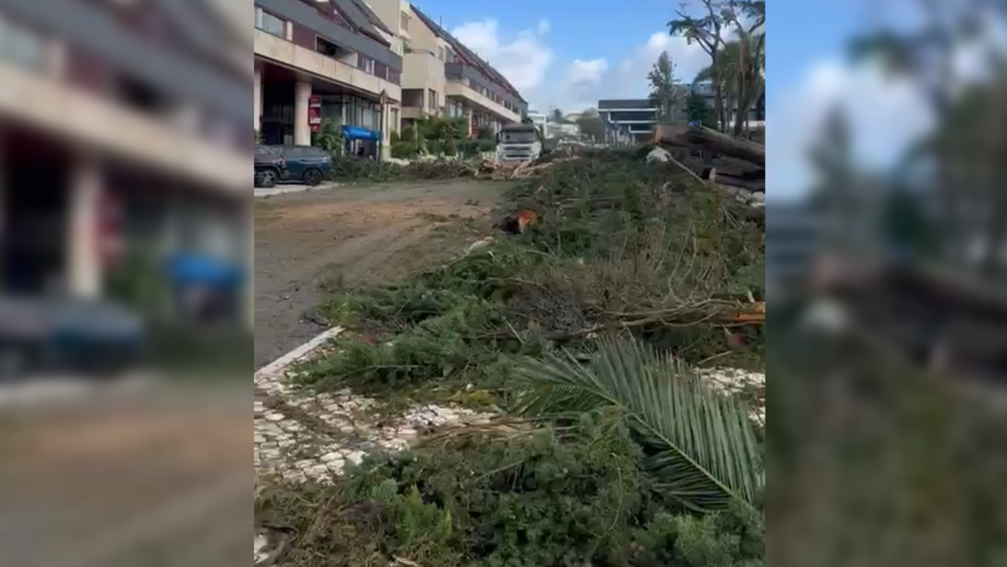  Depressão Martinho causou pelo menos 638 ocorrências até às 10 horas desta quinta-feira