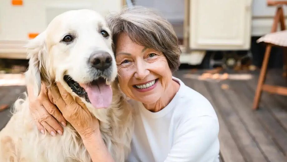 Os cães são, regra geral, animais amigáveis que se dão facilmente