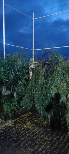 Depressão Martinho soprou plena de intensidade na madrugada desta quinta-feira