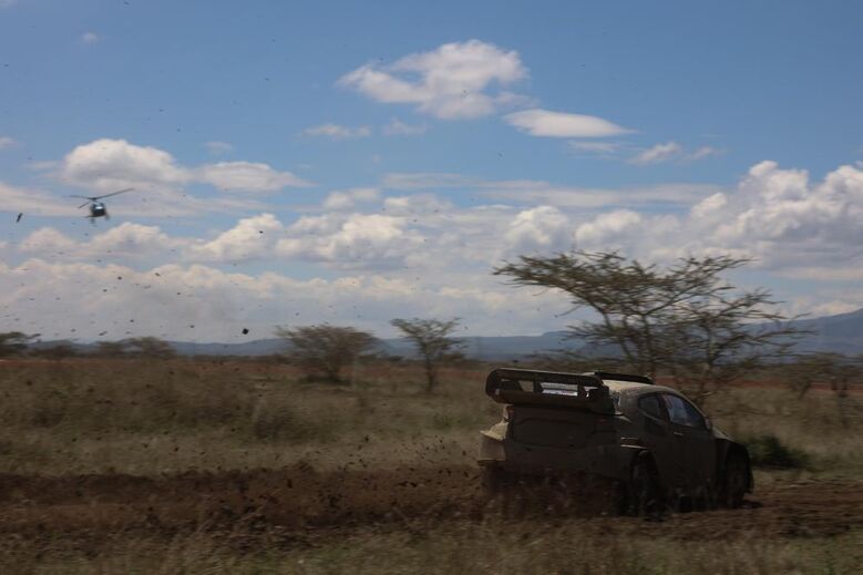 Elfyn Evans no Rali Safari