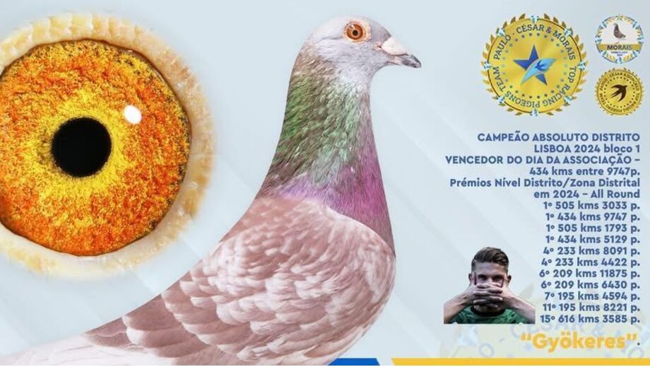 Gyökeres foi batizado com este nome por inspiração do goleador do Sporting