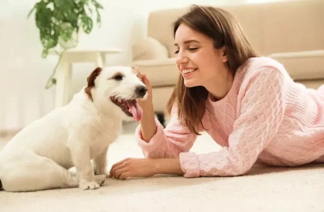 Sim, leu bem, os cães também pensam...