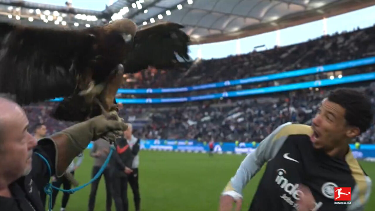 O momento em que Ekitiké se aproxima da águia do Eintracht Frankfurt