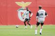 Último treino do Benfica antes do clássico com o FC Porto
