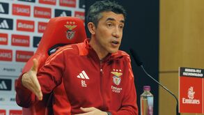 A pubalgia de Tomás Araújo, egos no balneário e a resposta ao 