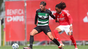 Benfica-Sporting, Liga Revelação