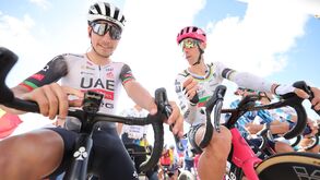 João Almeida e Rui Costa 