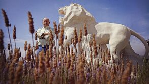 «Foi um mestre na sua área e consensual para todos»: Sporting despede-se de Aurélio Pereira