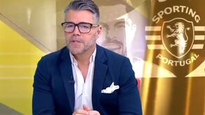 José Calado: «O Benfica está a passar uma fase positiva. As coisas estão a sair bem»