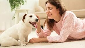 Estas são as 5 coisas em que os cães mais pensam!