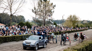 Grande Prémio de Santo António encanta Hipódromo da Maia