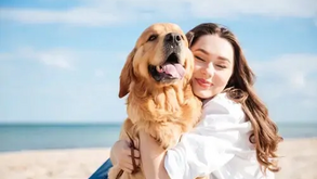 Quer ter um animal feliz em sua casa? Então vai ter mesmo que ler estas 5 dicas!