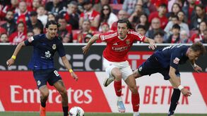 «Contra tudo e contra todos»: jogadores do Benfica reagem a jogo quente na Luz