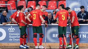 Paulo Freitas dá indicações