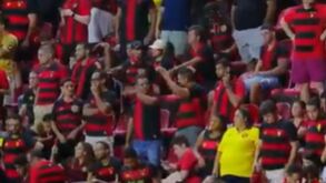 «Burro, burro»: adeptos do Sport Recife não perdoam Pepa após derrota em casa