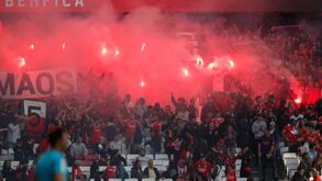 Tarja e pirotecnia resultam em multa