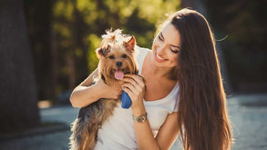 Nunca teve um patudo? Conheça as 3 raças de cães que são ideais para “principiantes”