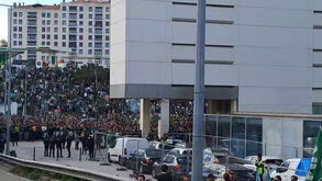 Onda Verde em Alvalade: multidão espera autocarro do Sporting antes do jogo com o Moreirense