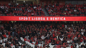 Provocação no Estádio da Luz: very-light lembrado na zona dos ultras do Benfica