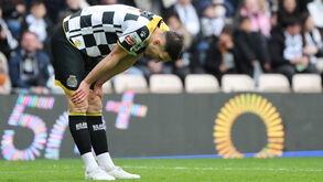 Bozeník espreita regresso ao onze