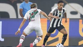 Botafogo de Renato Paiva bate Fluminense e regressa às vitórias no Brasileirão
