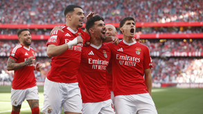 Benfica tem 130 golos esta época: sabe quantos jogadores já marcaram?