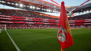 Benfica SAD coloca 55 milhões junto de mais de 3.000 investidores: procura supera oferta