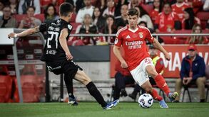 Dahl aceita ficar no Benfica