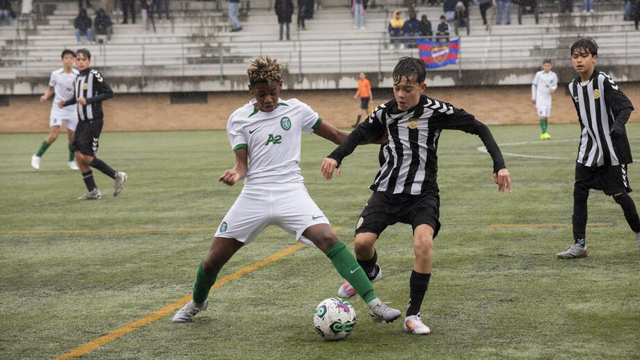O FC Porto levou a melhor sobre o Benfica e o Sporting venceu o Nacional pela mesma margem (2-0). Ambos assumem favoritismo à vitória  final do torneio, que se decide amanhã. Vão bem lançados...