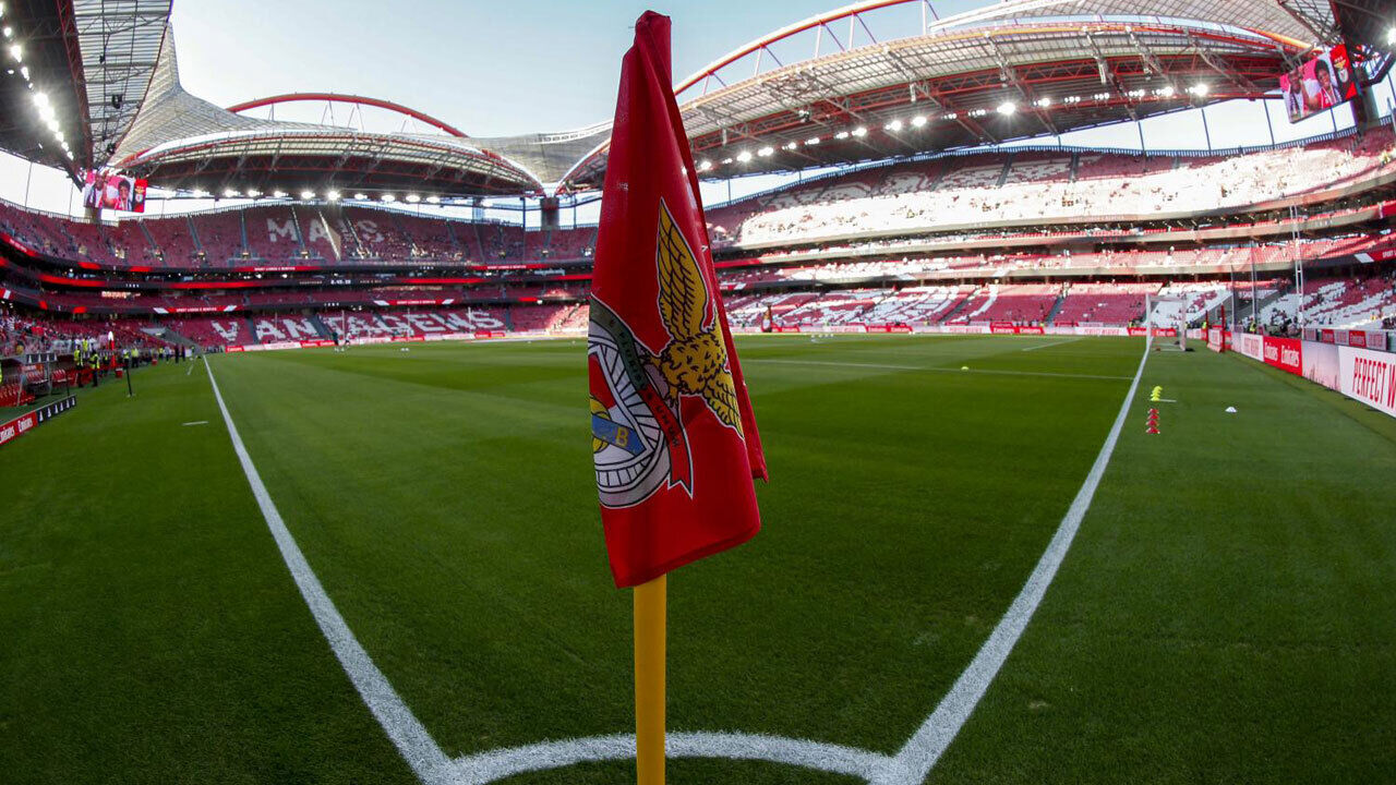 Benfica, bandeira