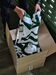 Imagens da nova camisola do Sporting já circulam nas redes sociais