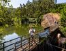 Trail Anadia Capital do Espumante
