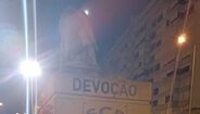 Estátua do leão junto do Estádio de Alvalade vandalizada