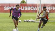 Último treino do Benfica antes do dérbi frente ao Sporting