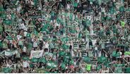 As melhores imagens da festa do Sporting no Jamor após a conquista da Taça de Portugal