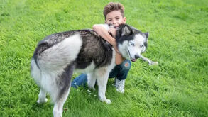 Qualquer brincadeira com o cão é essencial para fortalecer a relação entre o dono e o patudo