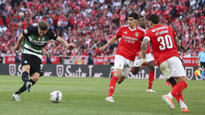 Título decidido na última jornada: o que Sporting e Benfica têm que fazer para serem campeões