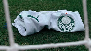 Camisola do Palmeiras