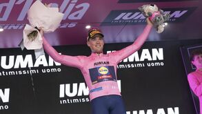 Mads Pedersen de rosa