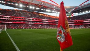 Elemento da lista de Vieira 'dispara': «MAG do Benfica prefere a opacidade e confusão de regras à transparência»