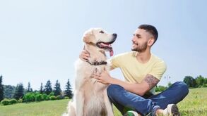 O seu fiel amigo não lhe obedece? Estas são as 6 formas de melhorar a comunicação com o seu cão