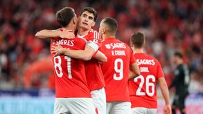 O percurso do Benfica: Muro erguido até ao Jamor