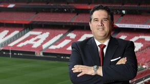 Nuno Catarino e o 'fecho de portas' da Luz à Seleção: «Temos coragem, não sei se outros têm»