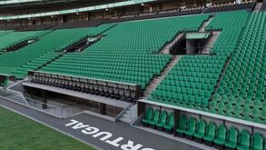 Procura aumenta pelo lugar de leão